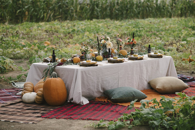 Pumpkin Patch Wedding Inspiration for Fall