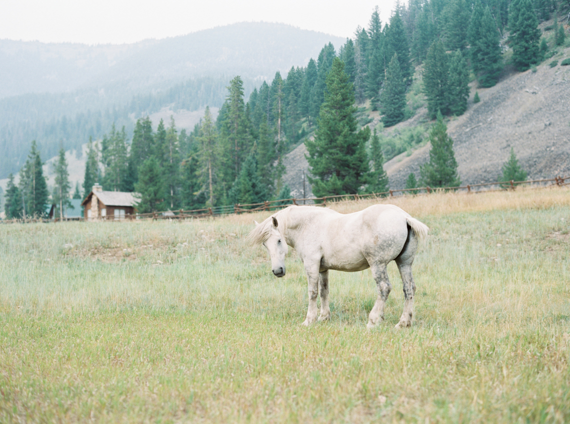 Rustic Montana Ranch Wedding | Emily Blumberg Photography 5