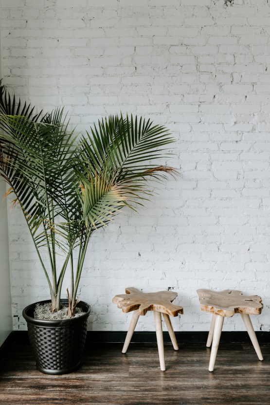 Minimal Tropical Wedding Inspiration With A Surprising Fresh Dinner Idea – Alicia Wiley 40