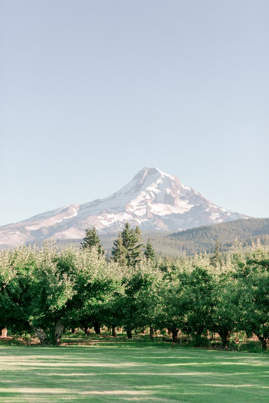 Cute Mt Hood Oregon Orchard Wedding – Simply Splendid Photography 40