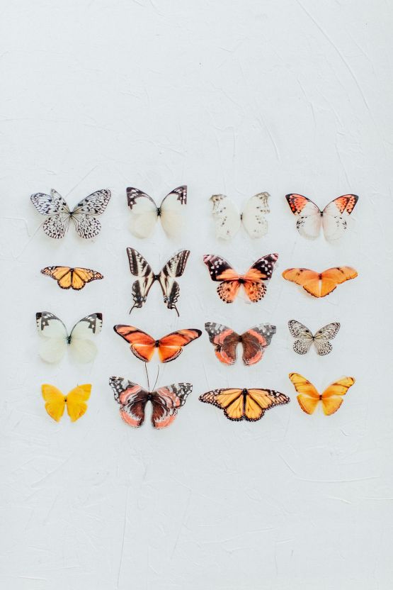 Ideas para bodas inspiradas en hermosas mariposas - Fotografía de Anja Schneemann 38