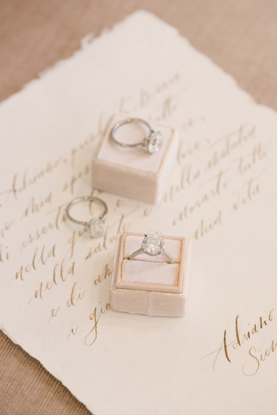 Platinum Guild International – 7 Gorgeous Places To Propose – Engagement Rings – Williamsburg Photo Studios 4