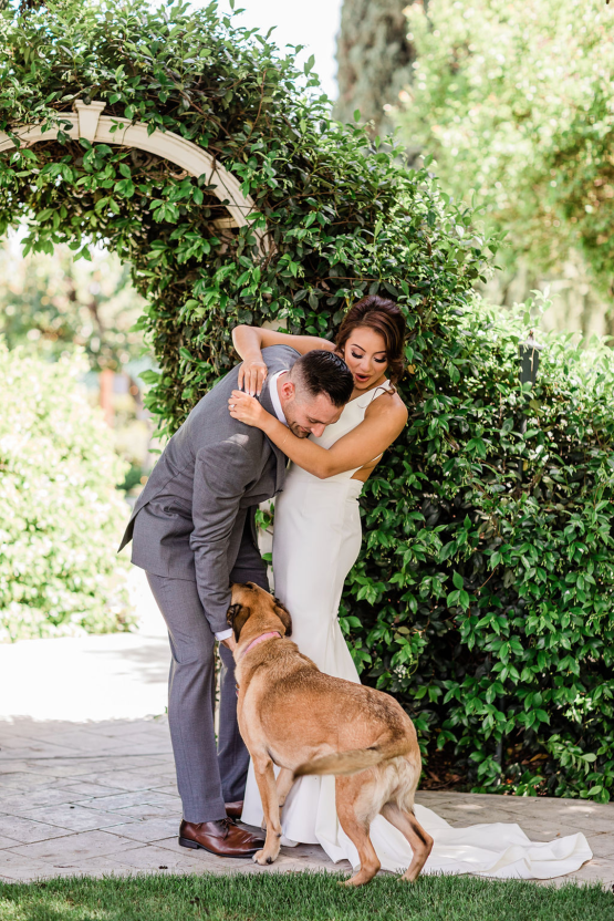 This Couples Pup Stole the Show on Their Wedding Day – The Photege – Bridal Musings – The Manor Estate 14
