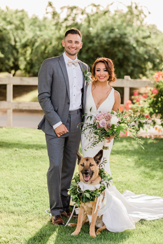 This Couples Pup Stole the Show on Their Wedding Day – The Photege – Bridal Musings – The Manor Estate 45