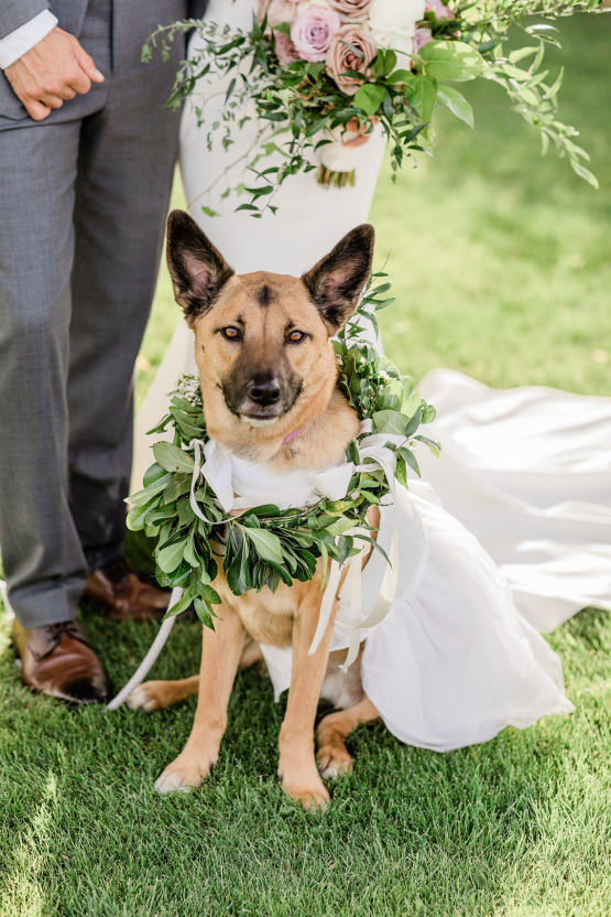 This Couples Pup Stole the Show on Their Wedding Day – The Photege – Bridal Musings – The Manor Estate 46
